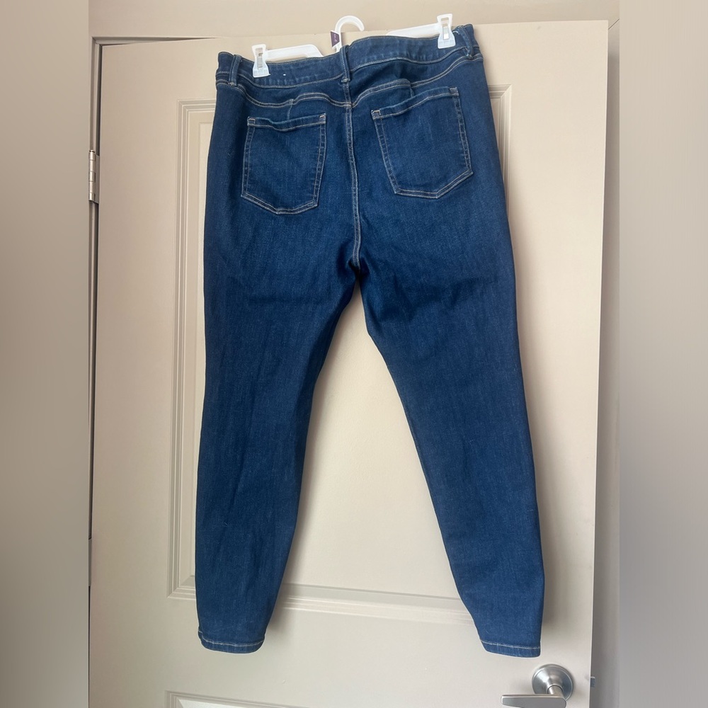 Lane Bryant Signature Fit Skinny Jean With Rhinestones - Picture 7 of 10